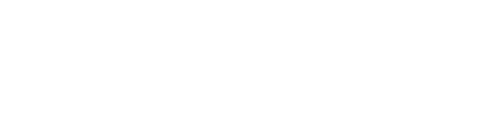 LINKIT website logo wit