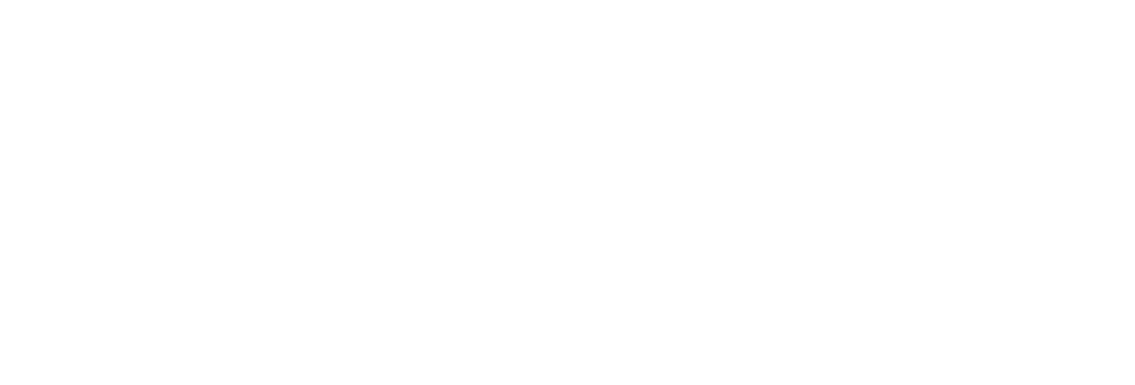 RITTAL website logo wit